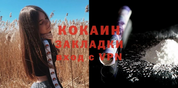 амф Арсеньев