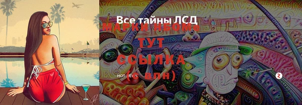 твердый Балахна