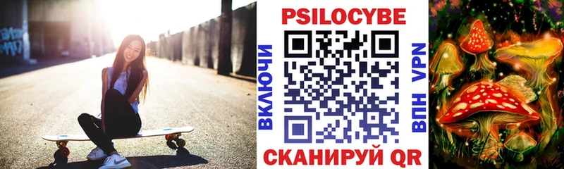где купить наркотик  Междуреченск  Псилоцибиновые грибы Cubensis 